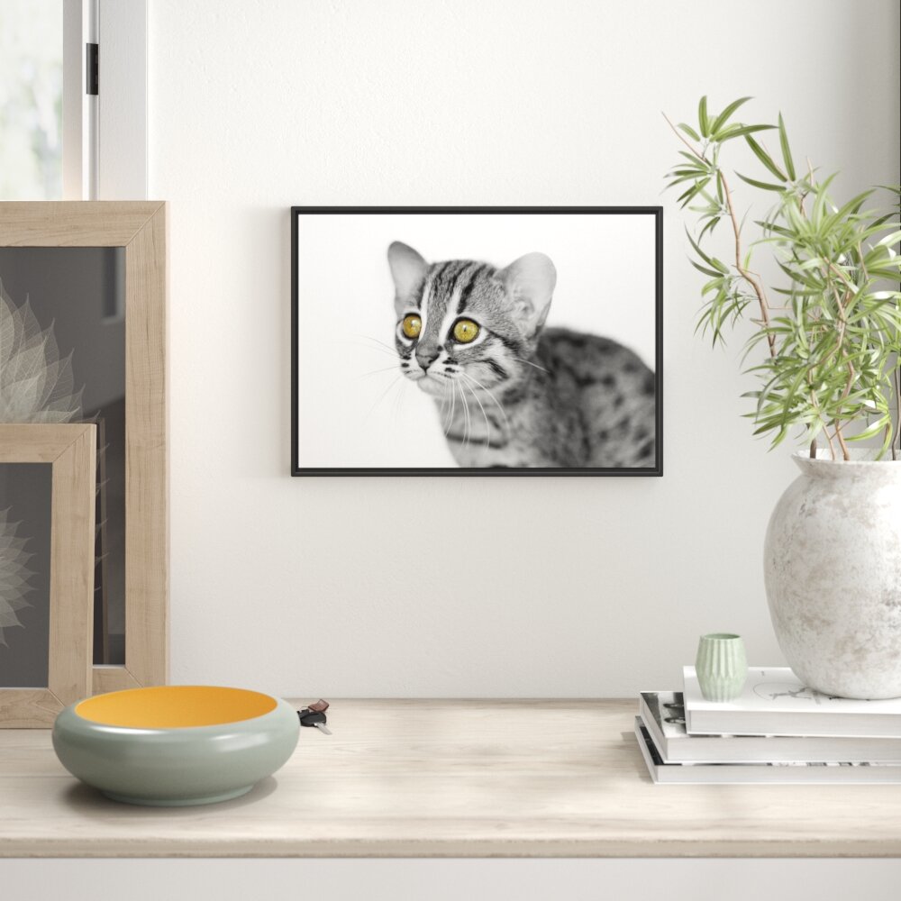 Gerahmtes Wandbild Marmorkatze