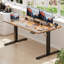 Mallus 120CM x 60CM Electric Height Adjustable Standing Desk-975068869-1045107958