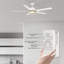 Ventilateur de plafond 60 po à 5 pales avec lumière Lisk-860379653