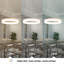 Luminaire suspendu à 1 lumière DEL-64533504