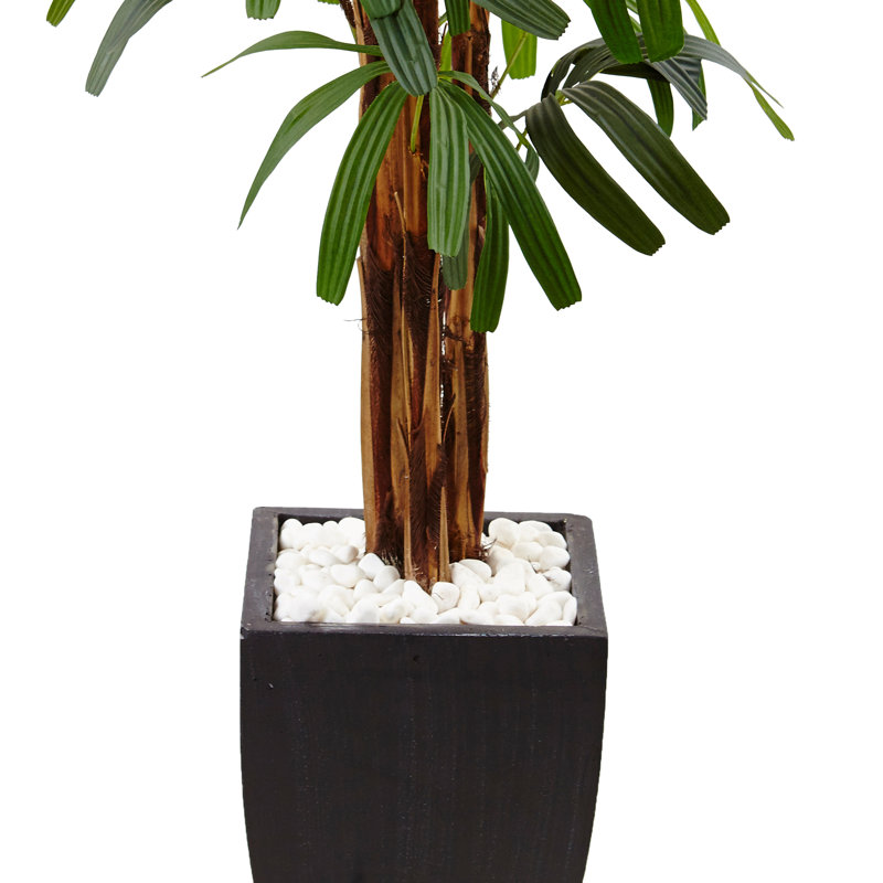 65'' Faux Palm Tree in Stone Planter