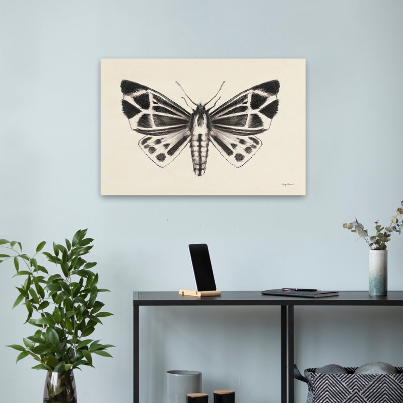 Animaux - papillon de nuit III, H 16 po x l 24 po