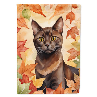 Chat en feuilles d'automne