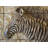 Machine Printed No Pattern And Not Solid Colour Duvet Cover-781996849