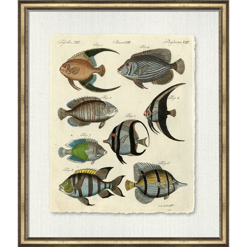 Poissons I - peinture encadrée sur papier