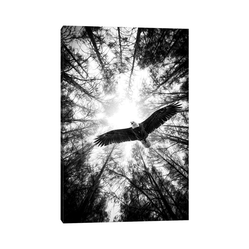 Master Of Heaven Bold Eagle B&W by Nik Rave - Print on Canvas, Wrapped Canvas, 66.04cm H x 45.72cm W x 3.81cm D