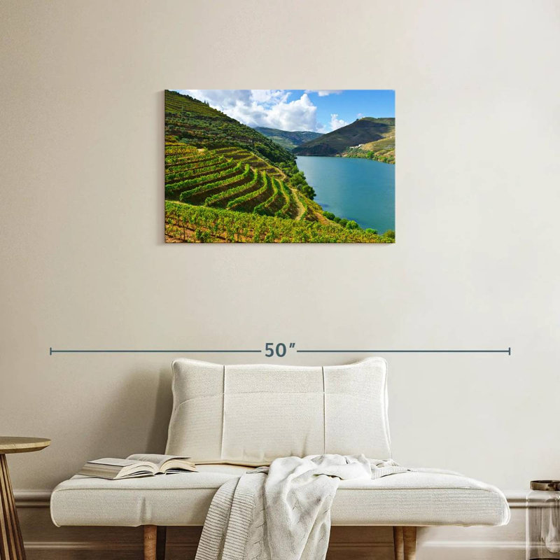 Alvord River Douro Vineyard, H 20 po x l 30 po