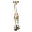 Gerard The Giraffe Statue