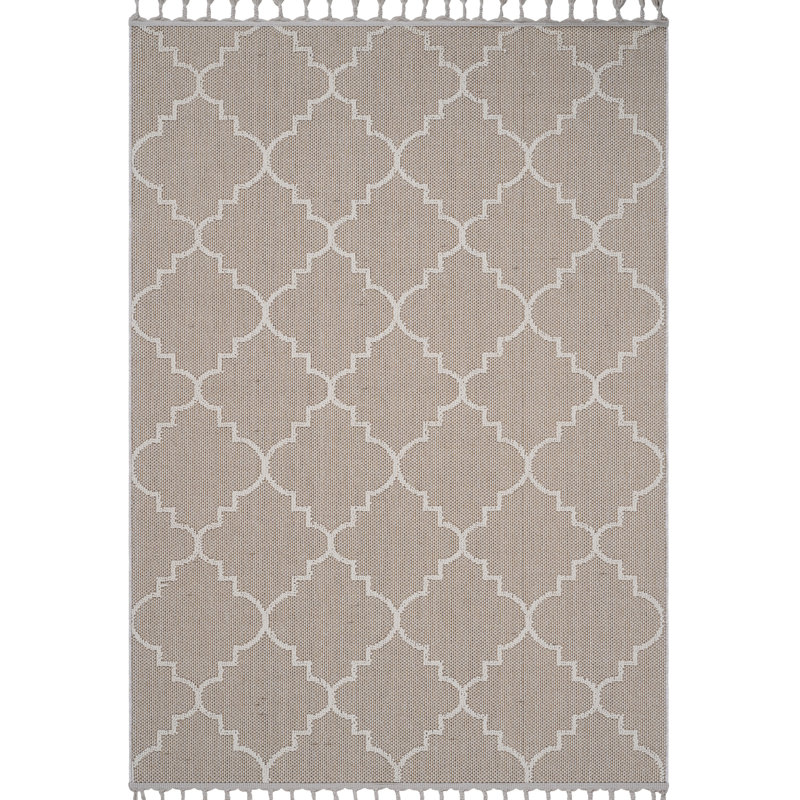 4X6 Indoor/Outdoor Trellis Rug - Stain , Versatile Style Pet-, Stain- Weave, Rectangle 4'1" x 6'3"