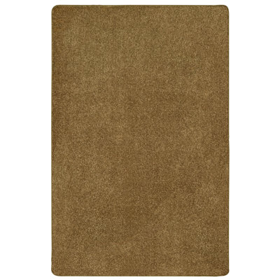 Indoor Rug