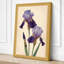 Purple Iris Study Botanical - Wrapped Canvas-1797624014-1797624015
