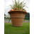Balhi Fibreglass Planter-14486399