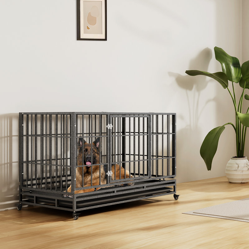 Cage pour chien robuste et indestructible, cage pour chien avec roues verrouillables, Moyen (H 29 po x l 37 po x P 23 po)