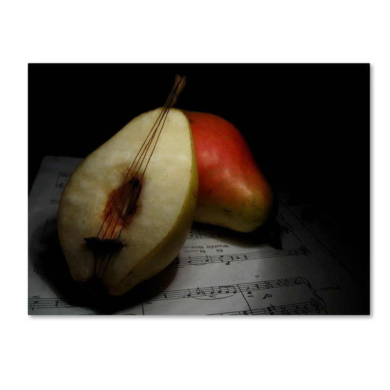 « still life », reproduction de photo sur toile tendue, H 35 po x l 47 po