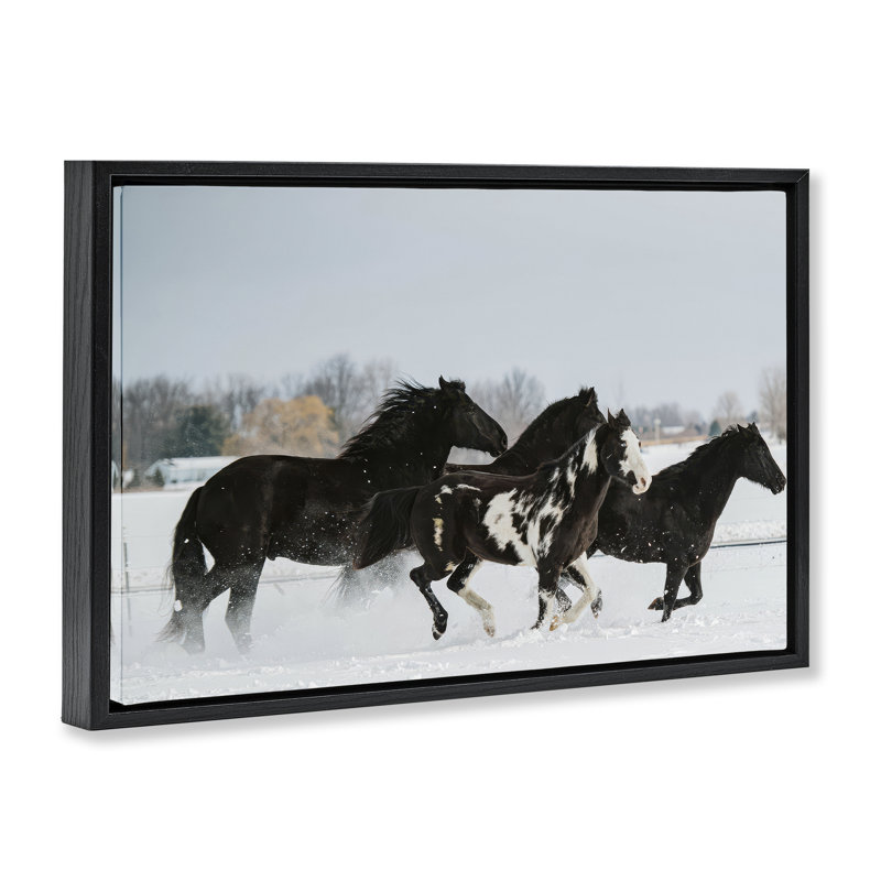 Cadre flottant Winter Herd of Horses, design par Amy Carroll, Cadre flottant noir de jais, H 17 po x l 25 po