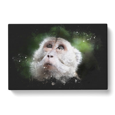 Macaque Monkey - Wrapped Canvas Print