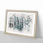 A Birch Tree Forest - Framed Print-56842506-56842505