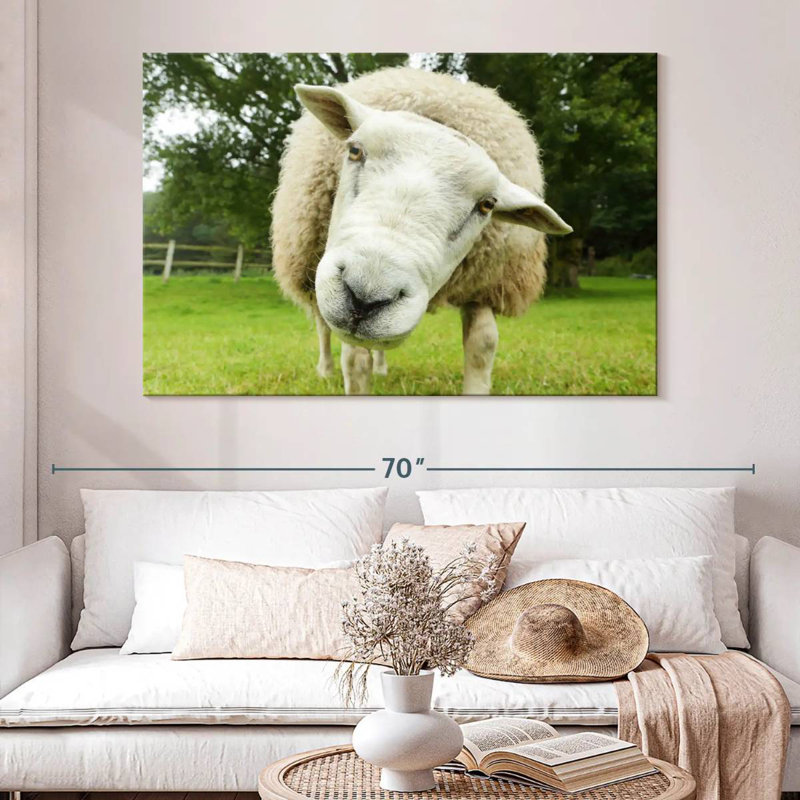 Nosy Sheep, H 30 po x l 45 po