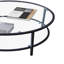 Kinhawk Coffee Table