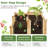 Akadian Wood Raised Garden Bed