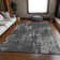 Premium Machine Washable Prisco Black Rug