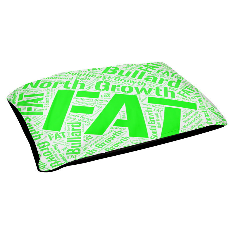 Coussin de chien « districts », Vert, Grand (l 40 po x P 30 po x H 14 po), Fresno