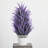 Lavender in White Planter