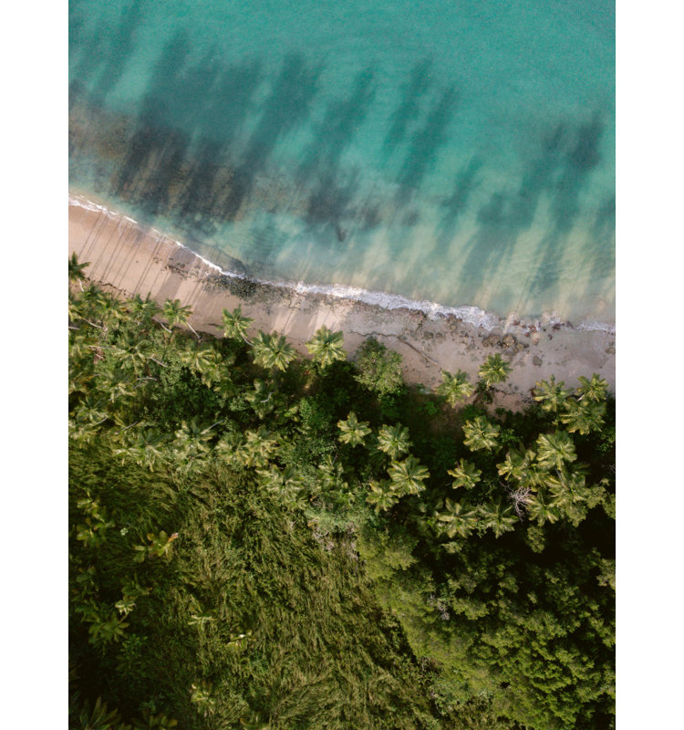 Wrapped Canvas Print, 91.44 cm H x 60.96 cm W