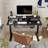 Euri Height Adjustable Standing Desk with Drawers-1032051370-1032051371