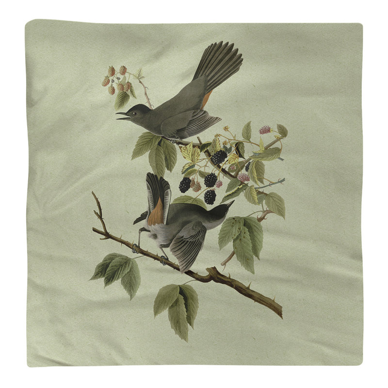 John James Audubon Cotton No Pattern Square Napkin, Green