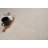 Silender Indoor Rug-614015346