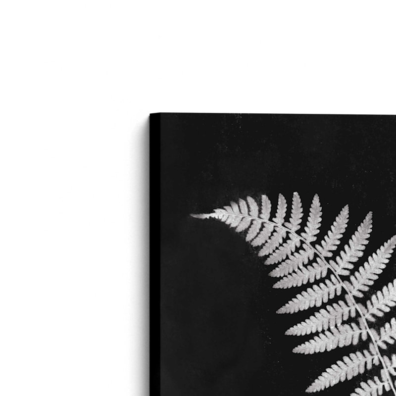 Simple Fern by Robin-Lee Vieira Art Print, 12 W x 18 H, Does Not Apply, Unframed Canvas