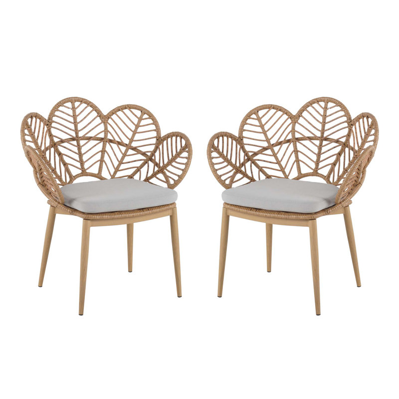 Ensemble de 2 chaises d'extérieur en forme de paon en osier Kirk