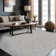 Nadene Gray Indoor Area Rug