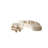 Cream style semi-circular arc negotiating sofa