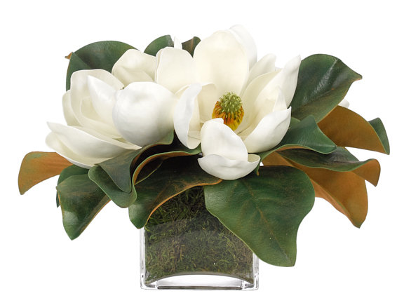 Magnolia Floral Arrangement in Planter, 11" H x 12" W x 12" D