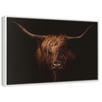 Belle vache Highland