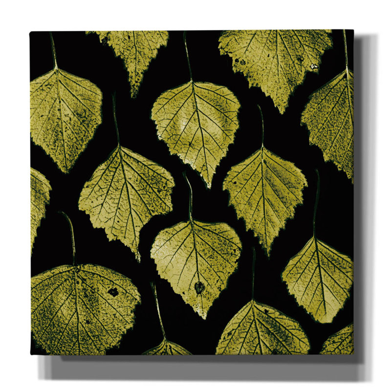 «Green Leaves» par PhotoINC Studio, H 12 po x l 12 po x P 0,75 po