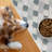 Litter Mat-62927970-90864850