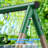 440lbs 2 Seat Swing Sets For Backyard, 1 Platform Swing And 1 Belt Swing 