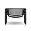 Aliza Wicker Outdoor Lounge Chair-109087780