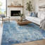 Area Rug-1344979232