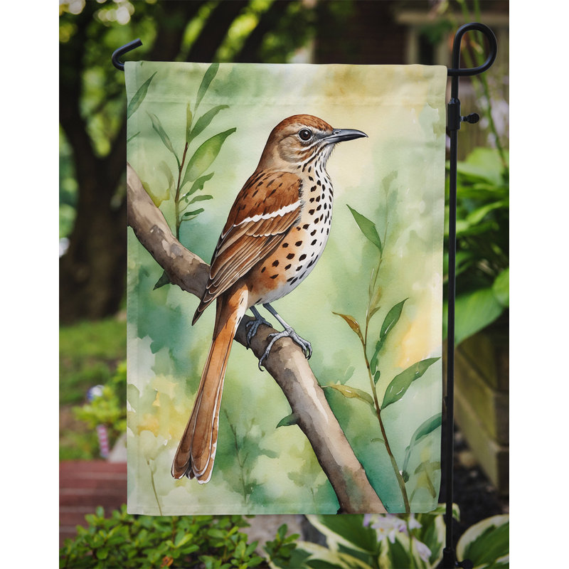 Drapeau de jardin, Moqueur de Géorgie - Géorgie