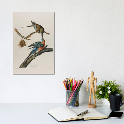 Passenger Pigeon, 1827-1838 1 Piece Wrapped Canvas Wall Art
