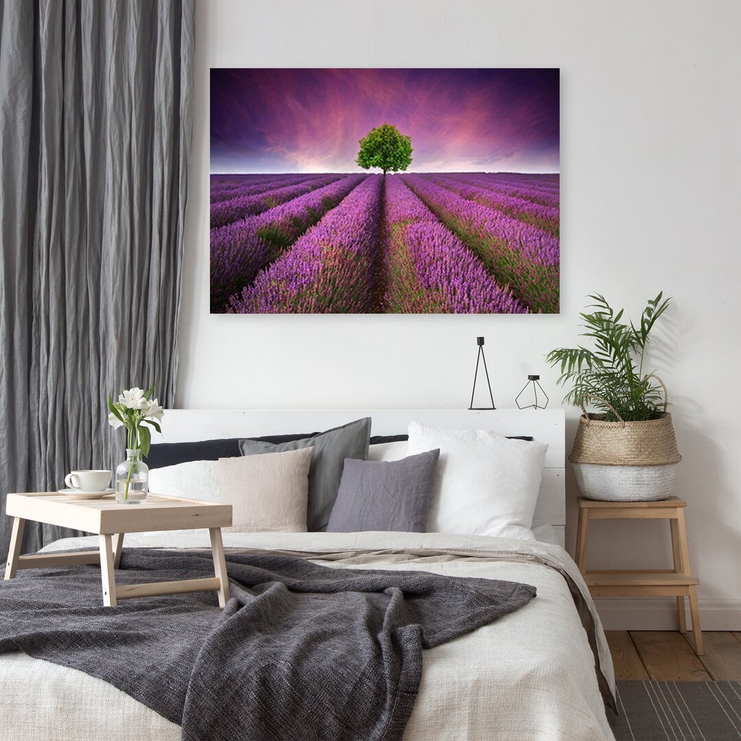 Leinwandbild Purple Landscapes