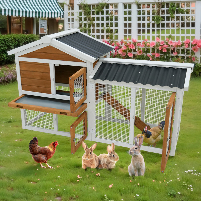 Poulailler 58 po en bois avec toit imperméable, escalier et plateau de nettoyage 58 po
