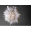 Brooklana 1 - Light Geometric Pendant-305601792-305601807