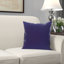 Bourrure de coussin de forme carré-1644282655-1644282659