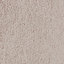 Giani Upholstered Standard Bed