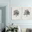 « rétro arbor study i » par antonyme bunjamin (abe)-ensemble de 2 reproductions de photos sur toile-1374601753-1374617552-1374617553